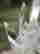 item-130855516=3