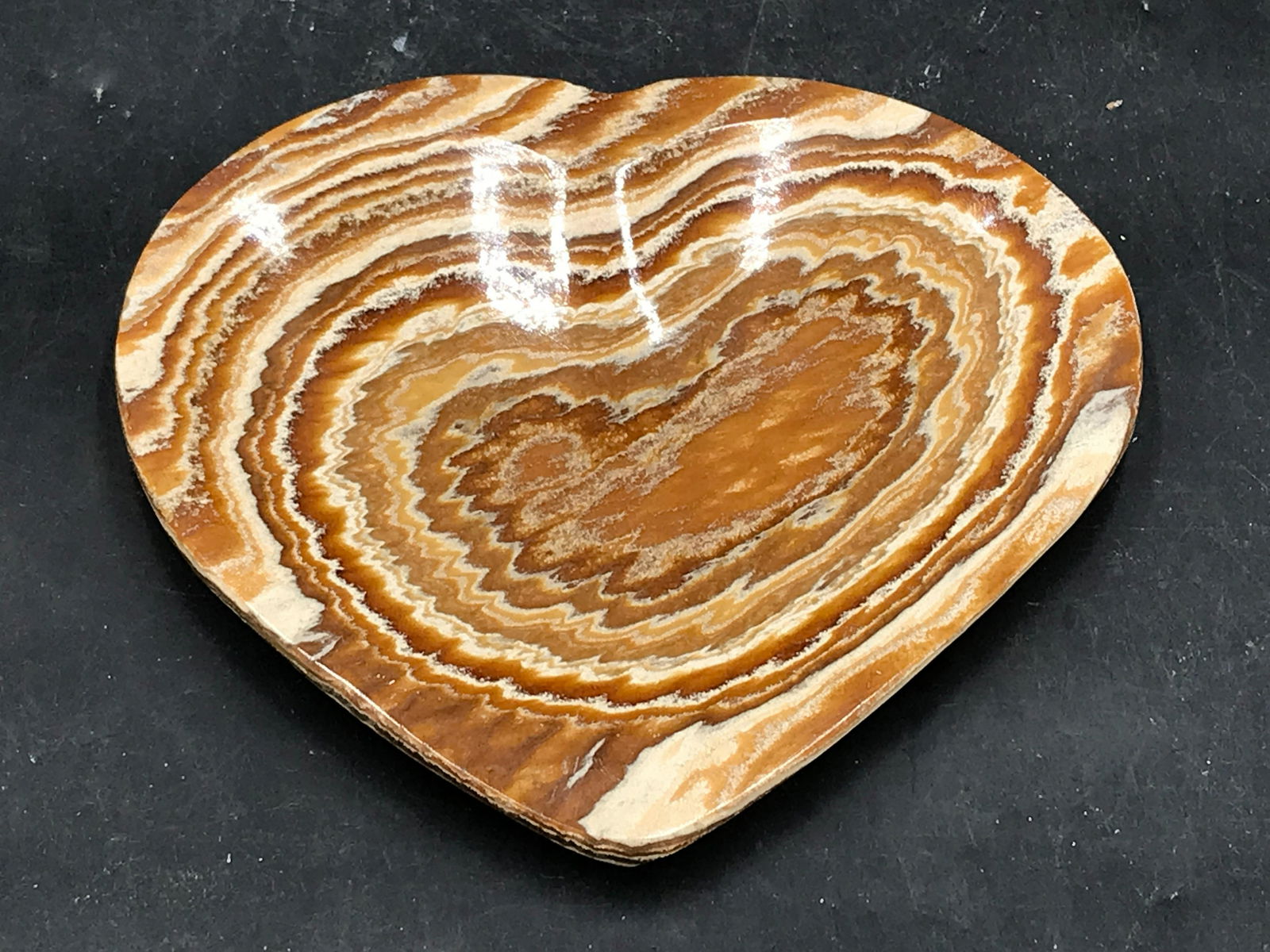 Coral, Fossil, Rock, Crystal, Natural, Decor, Collectible, Dish (1 of 4)