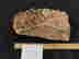 item-130855614=4
