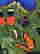 item-130855640=3