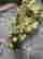 item-130855662=3