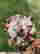 item-130855664=2