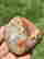 item-130855678=2
