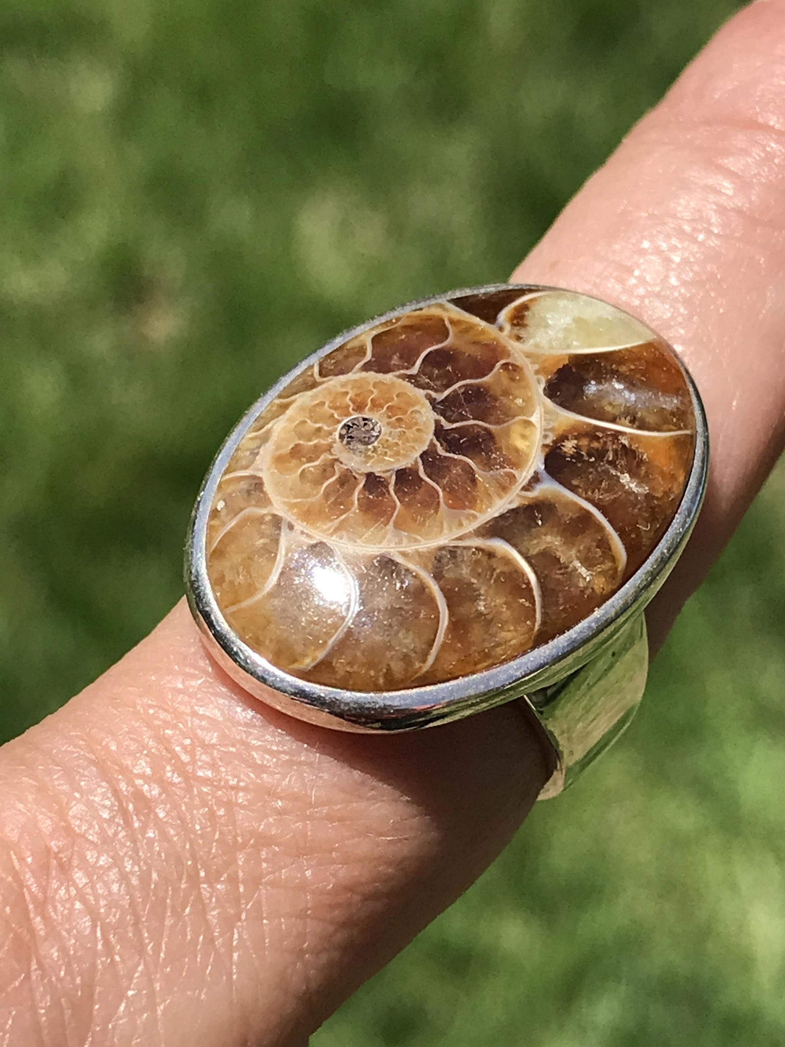 Rock, Crystal, Natural, Jewelry, Ring, Sterling: Fossil Ammonite Sterling Silver Ring Size 7.5