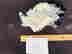 item-130855711=4
