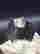 item-130855744=3
