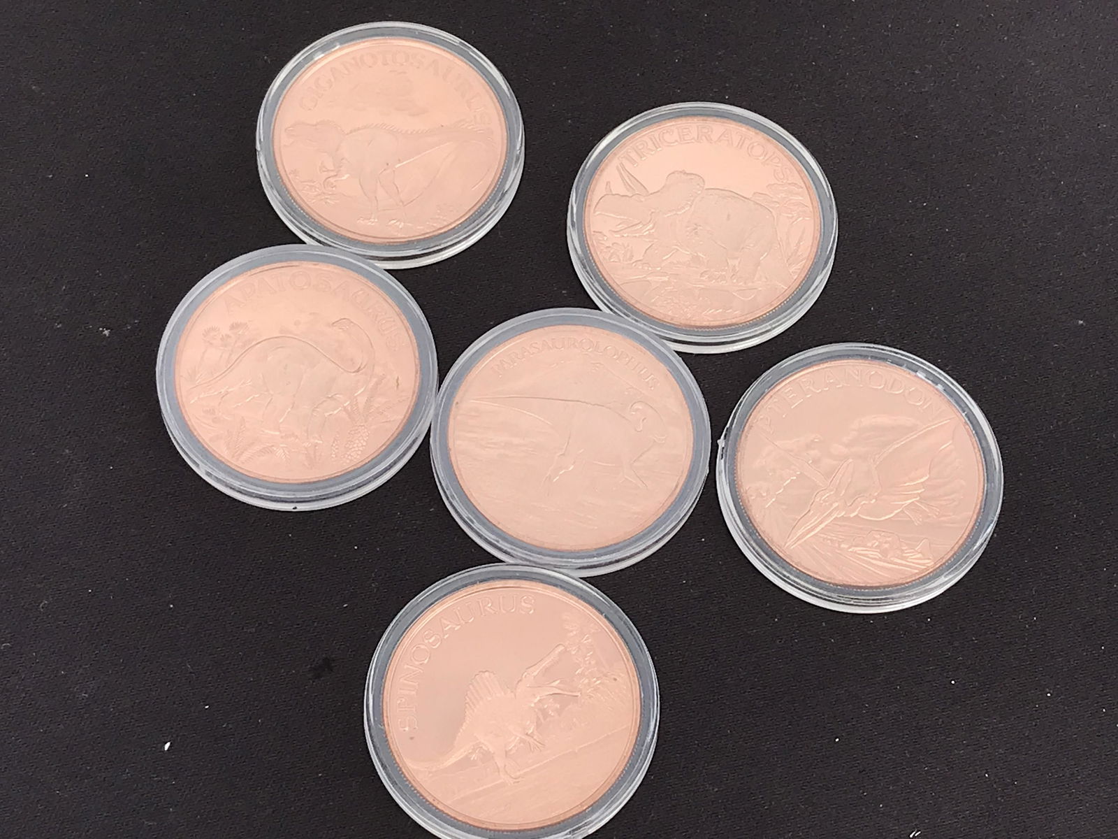 Copper, Crystal, Natural, Collectible, Coin: 6pc Dinosaur Copper Coins