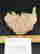item-130855776=4