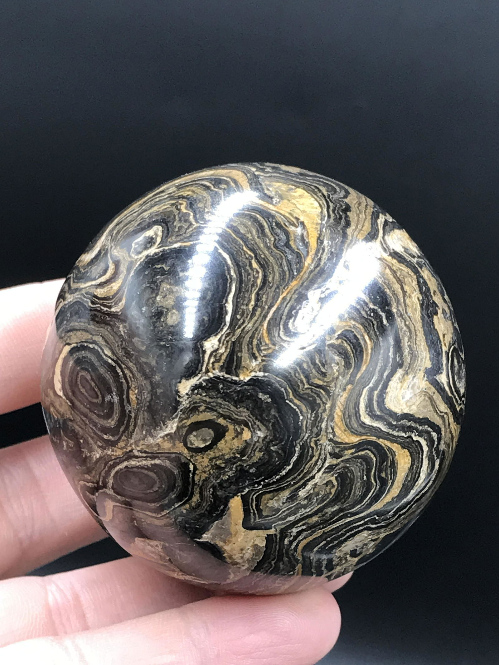 Rock, Crystal, Natural, Decor, Collectible, Carving, Sphere: Stromatolite (Fossil Algae) Sphere