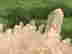 item-130925852=3