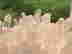 item-130925852=5