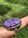 item-130925857=2
