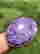 item-130925857=3