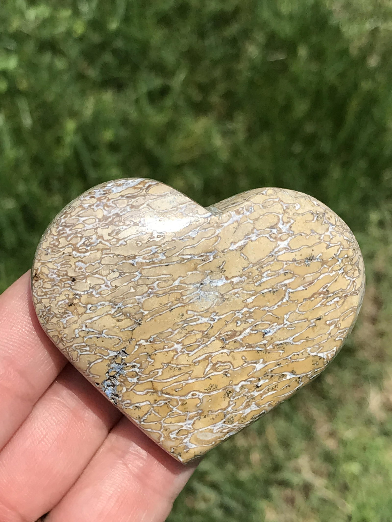 Fossil, Dinosaur, Bone, Rock, Crystal, Natural, Decor, Collectible, Carving, Heart: Dinosaur Bone Heart