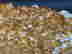 item-130926173=3