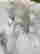 item-130926189=2