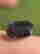 item-130926228=3