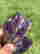 item-130926235=2