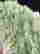 item-130926326=2