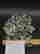 item-130926330=4