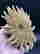 item-130926397=2