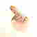 item-131526814=3