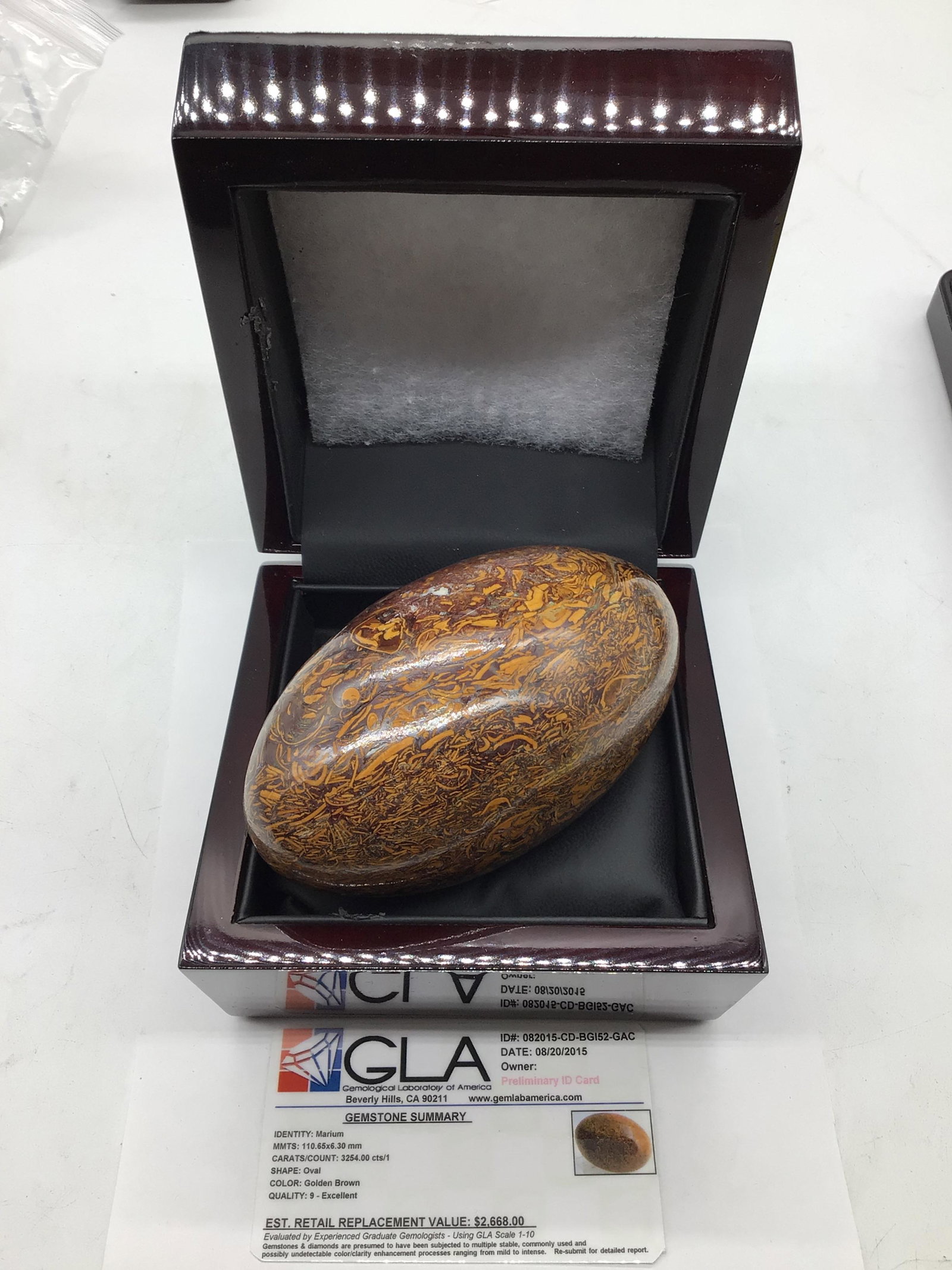 Marium egg, GLA certified. (1 of 5)