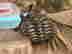 item-132639075=2