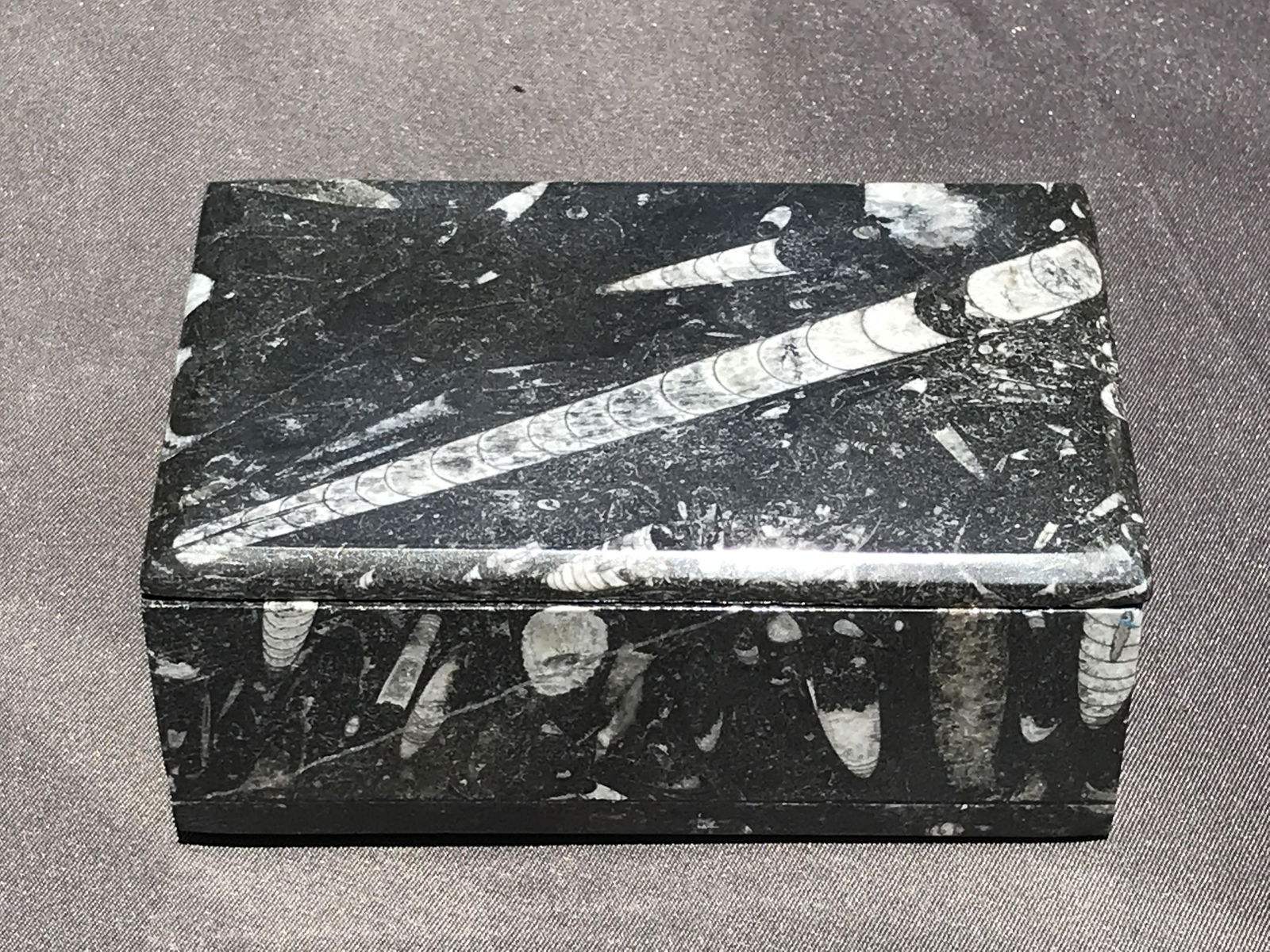 Orthoceras, Fossil, Rock, Natural, Decor, Collectible, Tissue Box (1 of 5)