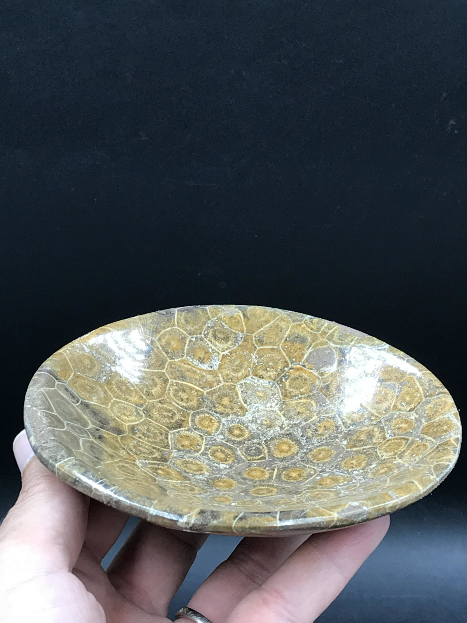 Rock, Crystal, Natural, Decor, Collectible, Bowl: Fossil Coral Bowl 4.5"