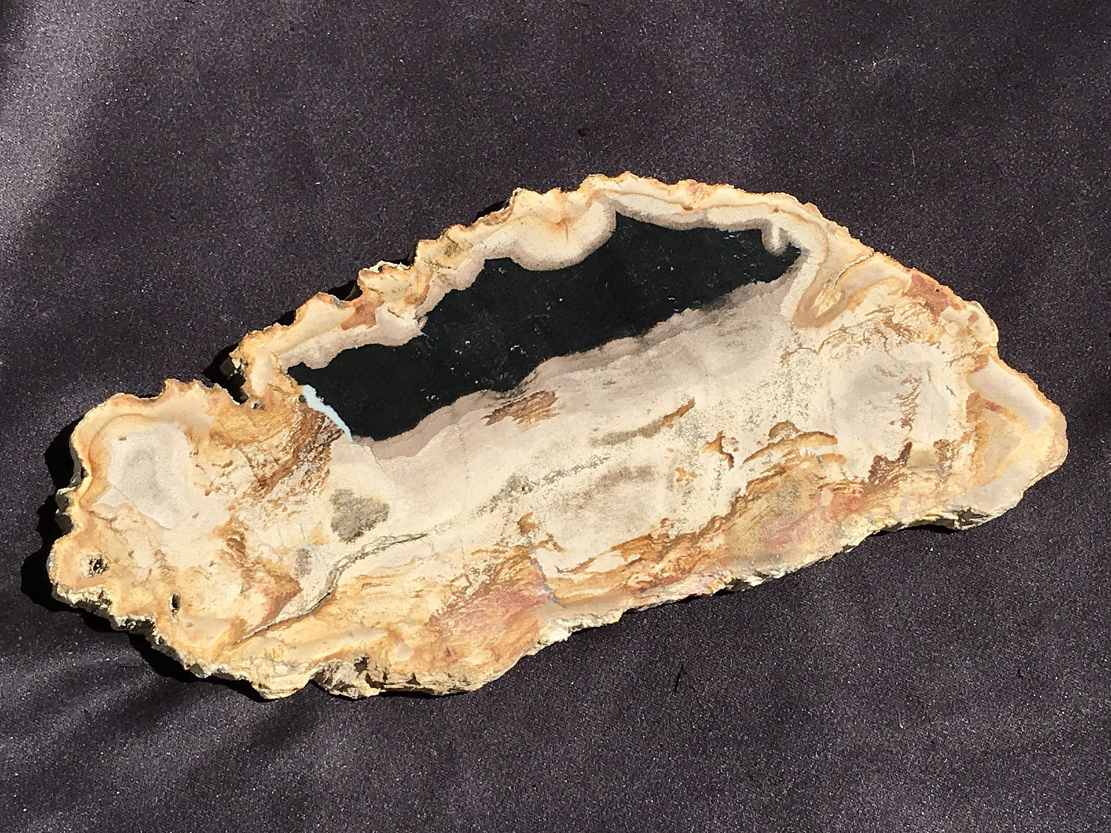 Petrified Wood, Fossil, Rock, Natural, Decor, Collectible, Slab: Fossil Petrified Wood Triassic Madagascar 1.7lb