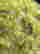 item-134527445=2