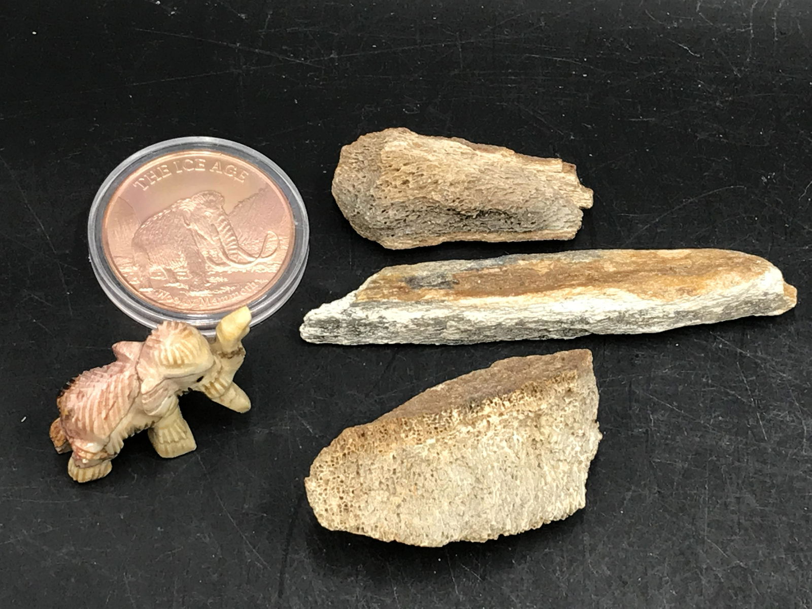 Mammoth, Rock, Fossil, Natural, Decor, Collectible, Soapstone, Carving, Copper, Coin, Bone: Mammoth Mix Soapstone Carving, Copper Coin, 3 Bone Fragments