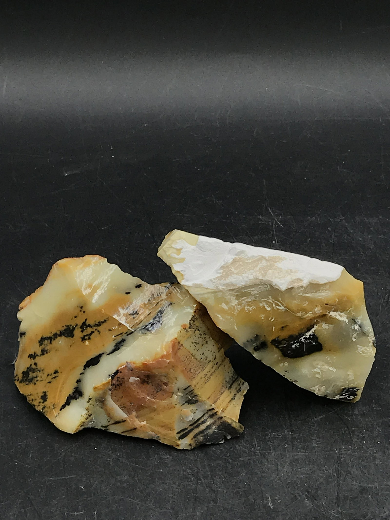 Opal Wood, Fossil, Rock, Natural, Decor, Collectible, Specimen: Opal Wood Oregon 2 Pieces 1lb