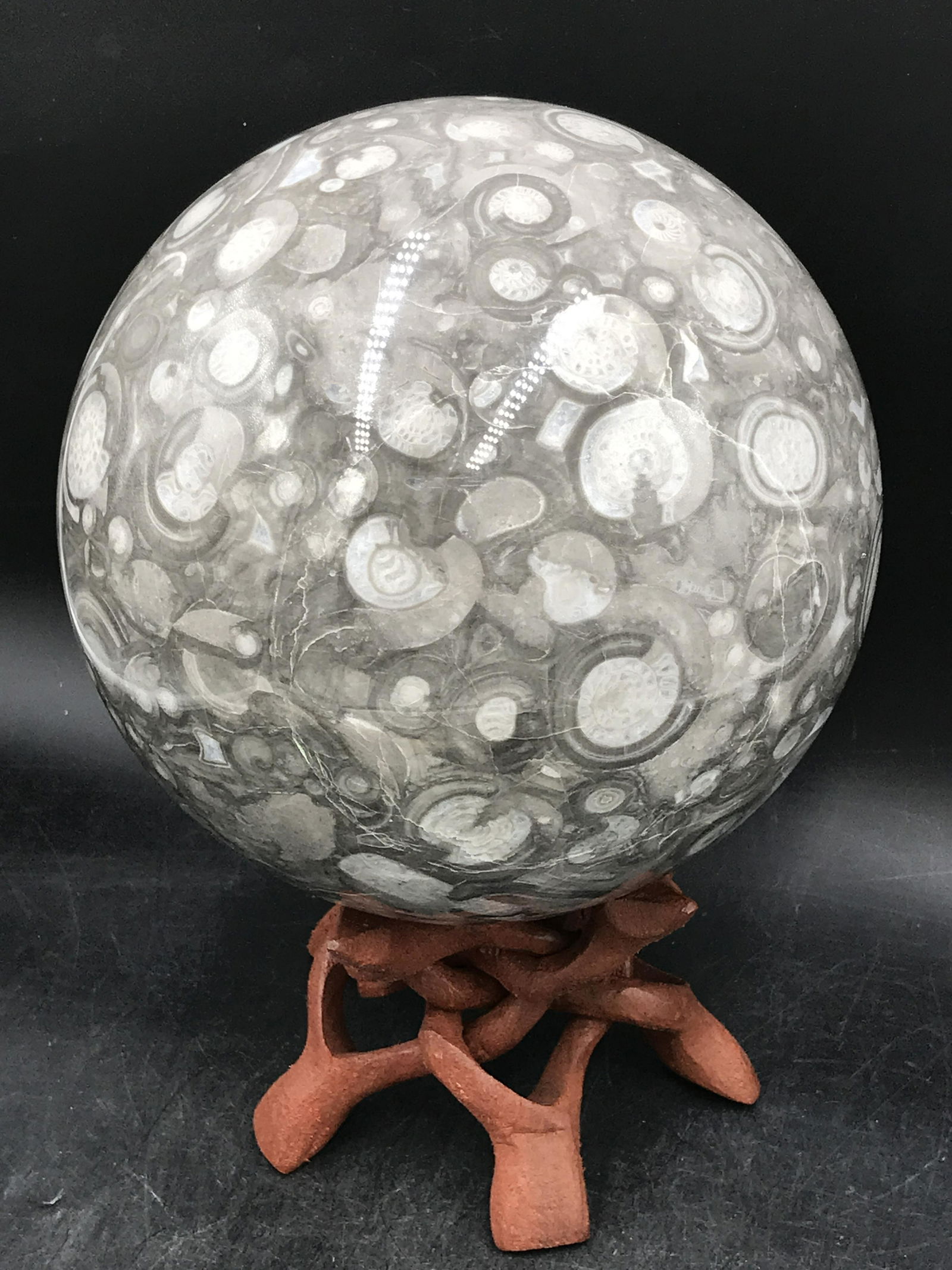 Rock, Crystal, Fossil, Natural, Decor, Collectible, Carving, Sphere, Clamshell, Limestone (1 of 4)