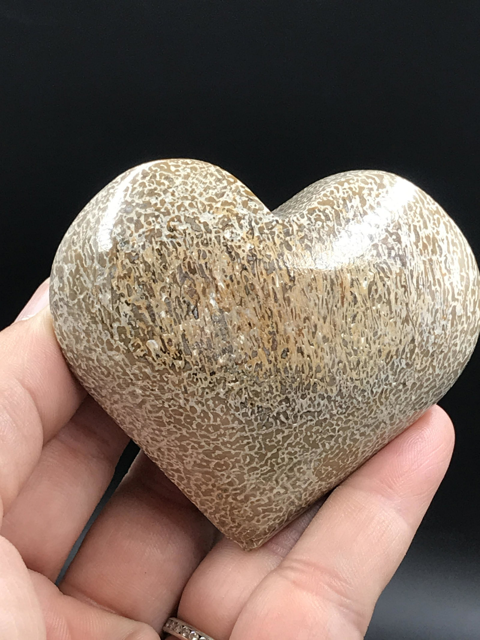 Dinosaur, Fossil, Rock, Crystal, Natural, Decor, Collectible, Carving, Heart: Dinosaur Bone Heart