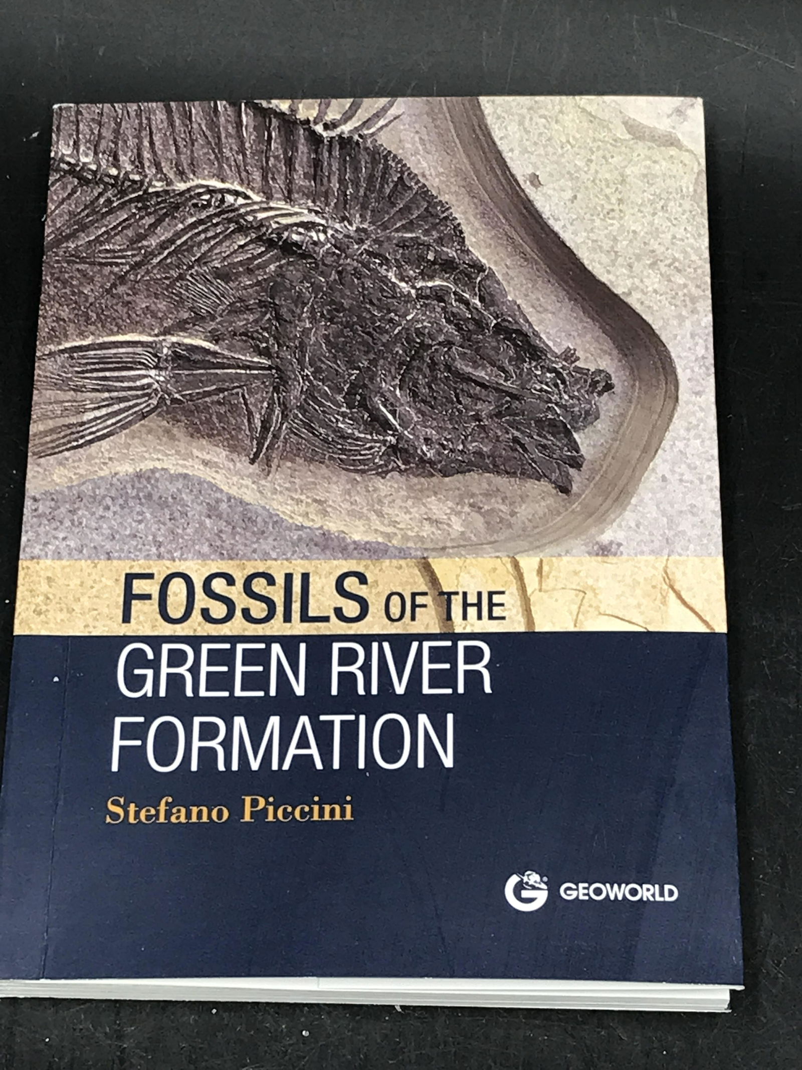 Book, Reference, Collectible, Decor (1 of 4)