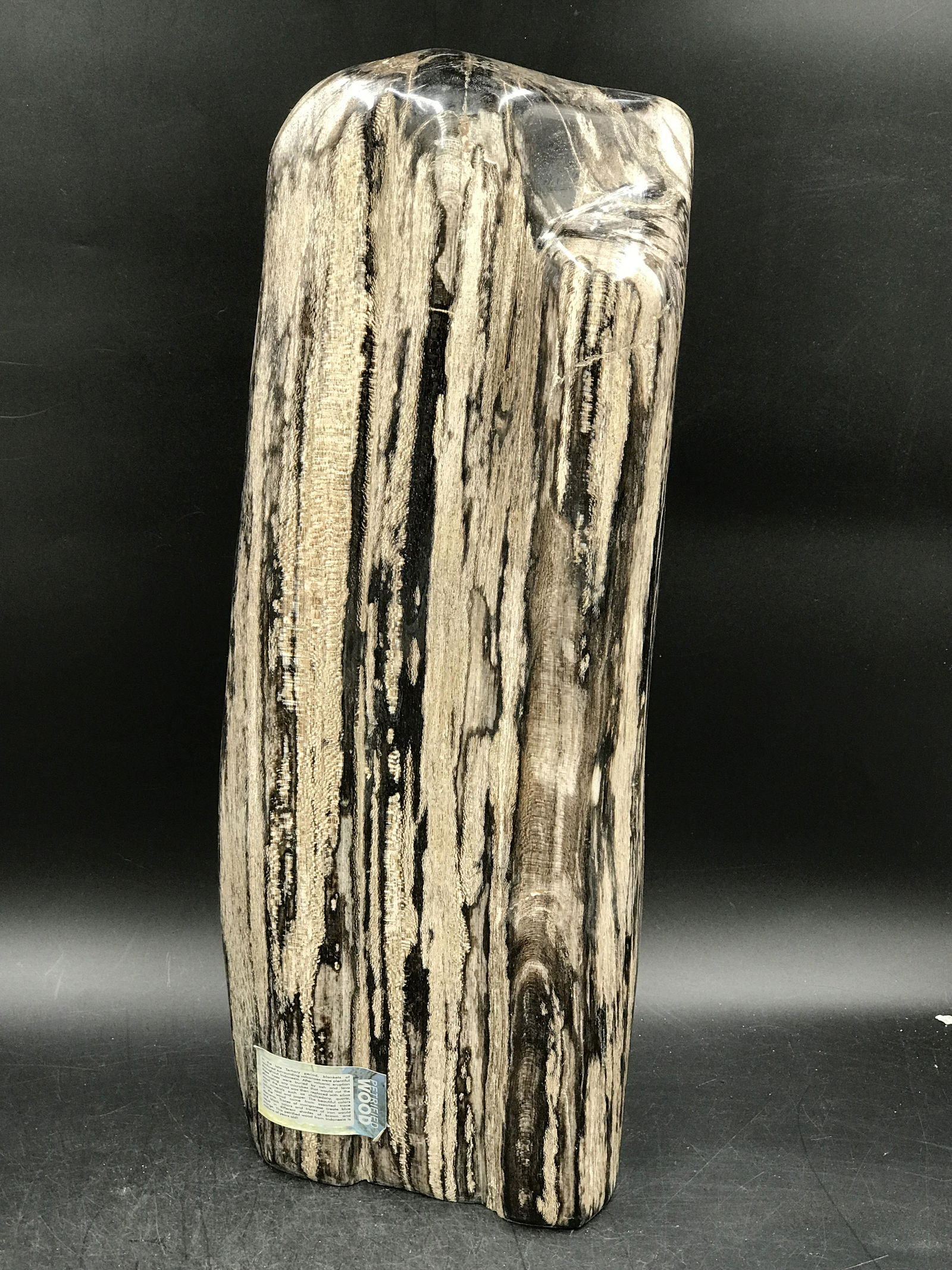 Rock, Crystal, Natural, Decor, Collectible, Freeform, Carving, Petrified Wood (1 of 4)