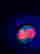 item-136575206=2