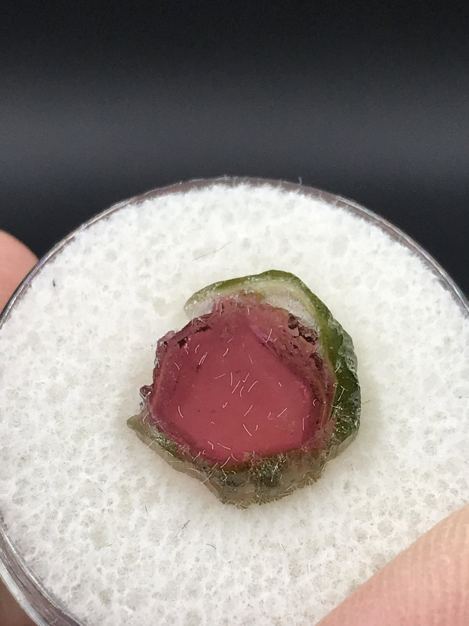 Crystal, Natural, Jewelry, Lapidary, Slice: Watermelon Tourmaline Crystal Slice 4.49ct