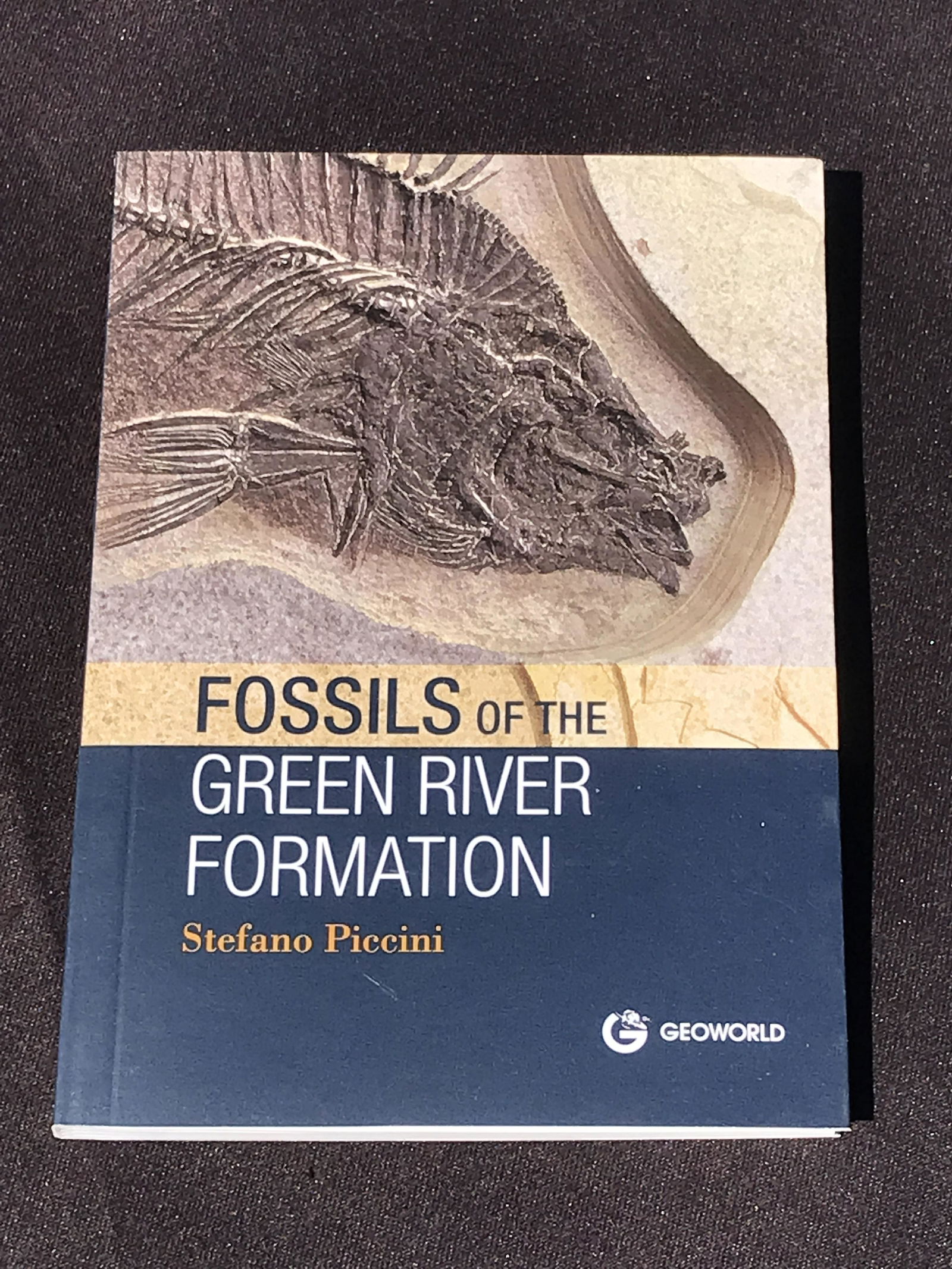 Book, Reference, Collectible, Decor (1 of 4)