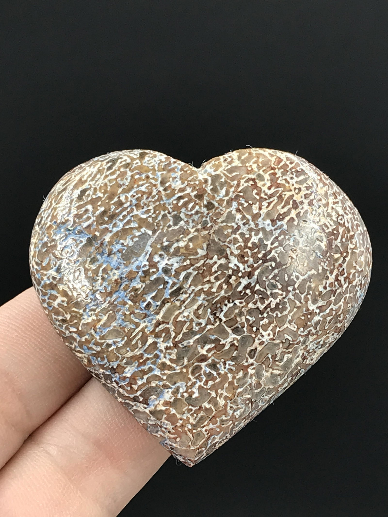 Rock, Crystal, Natural, Decor, Collectible, Carving, Heart: Fluorescent Fossil Dinosaur Bone Heart