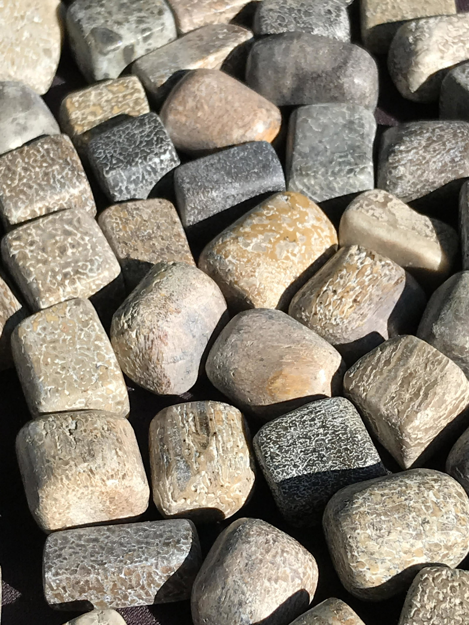 Tumbled Fossil Dinosaur Bone 1lb: Tumbled Fossil Dinosaur Bone 1lb