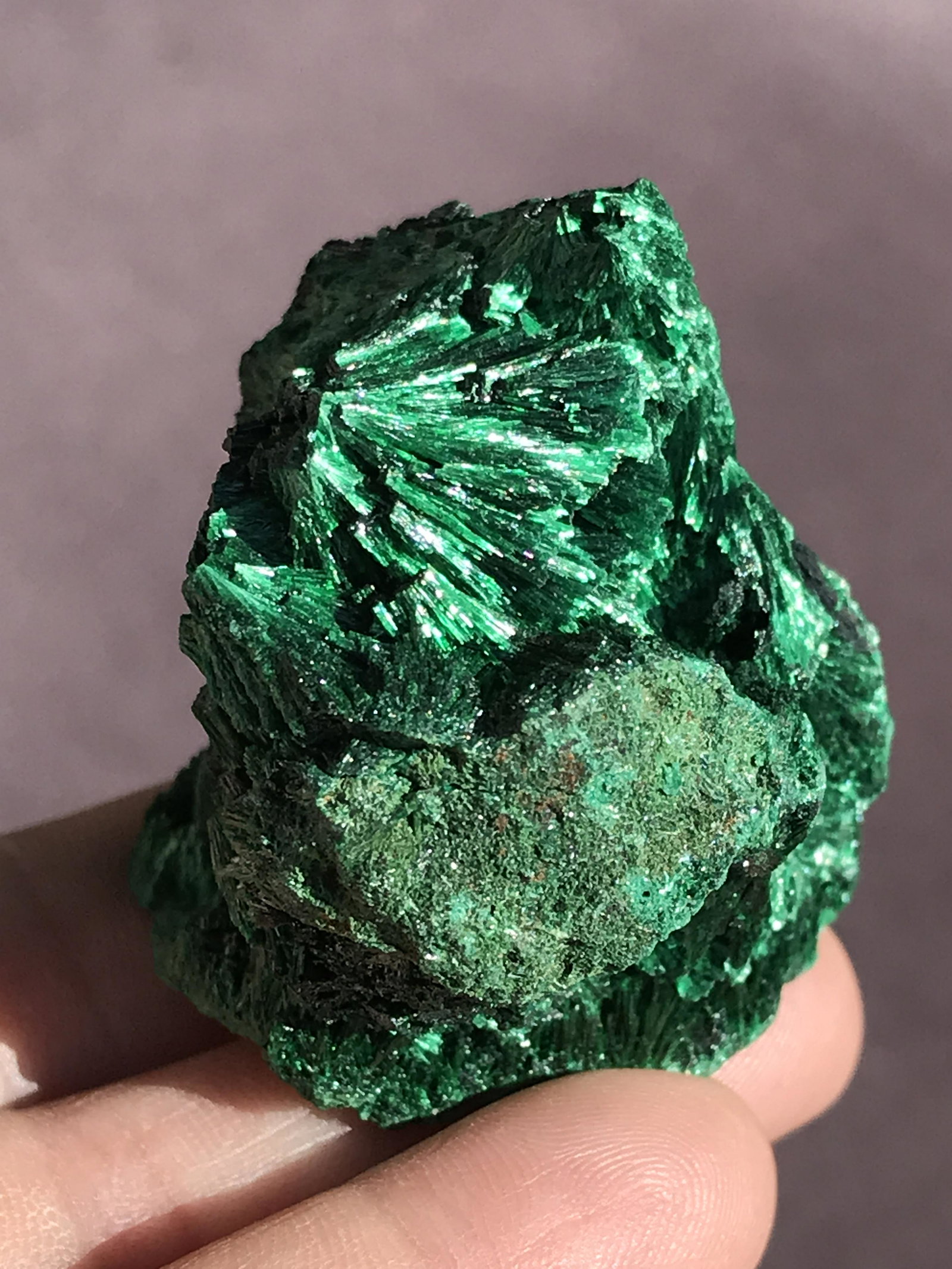 Velvet Malachite Fiborous Republic of Congo 2oz (1 of 4)