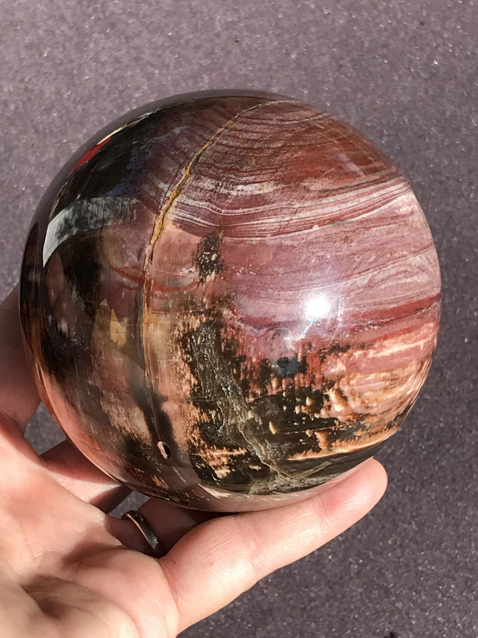 Petrified Wood Sphere Madagascar 225 M.Y.O. 3.7" (1 of 4)