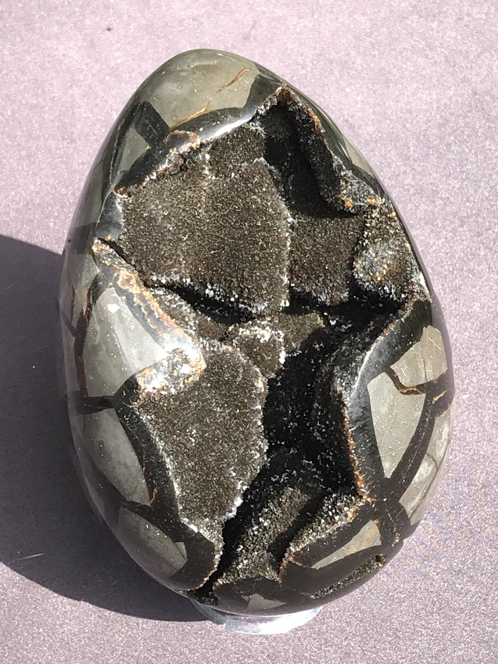 Septarian Egg (1 of 4)
