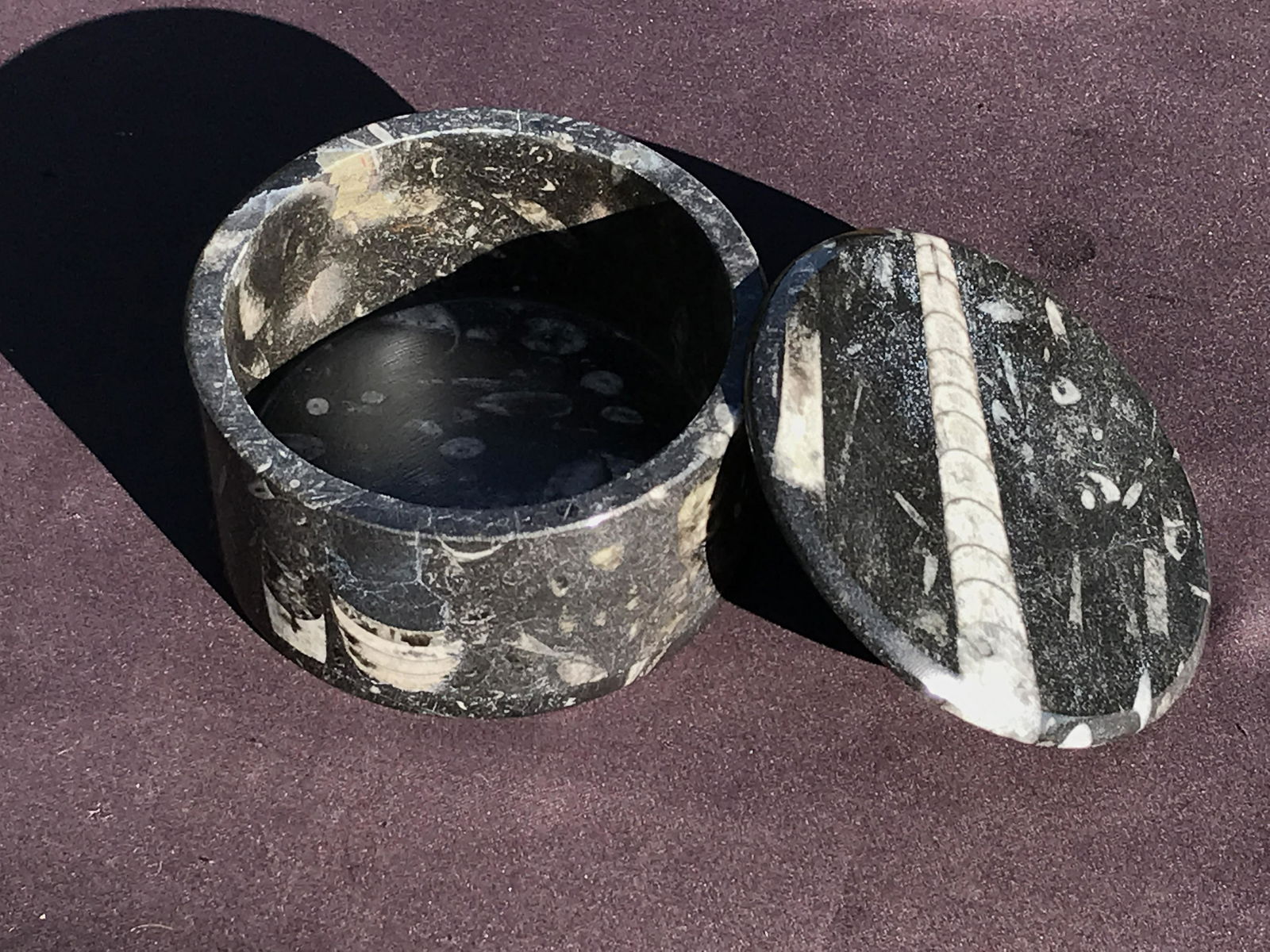 Orthoceras Marble Box (1 of 4)