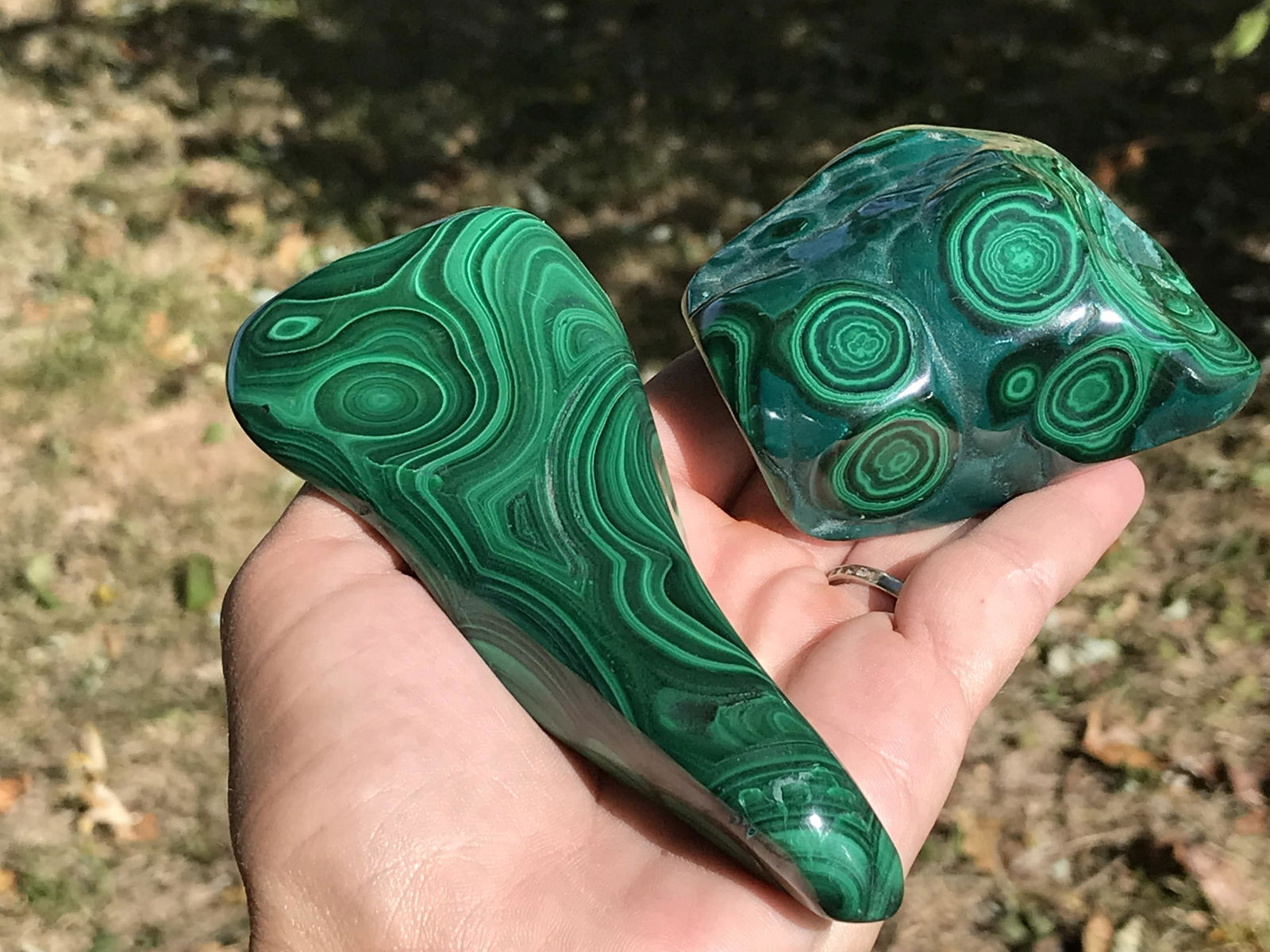 Malachite Polished Freeforms (1 of 4)