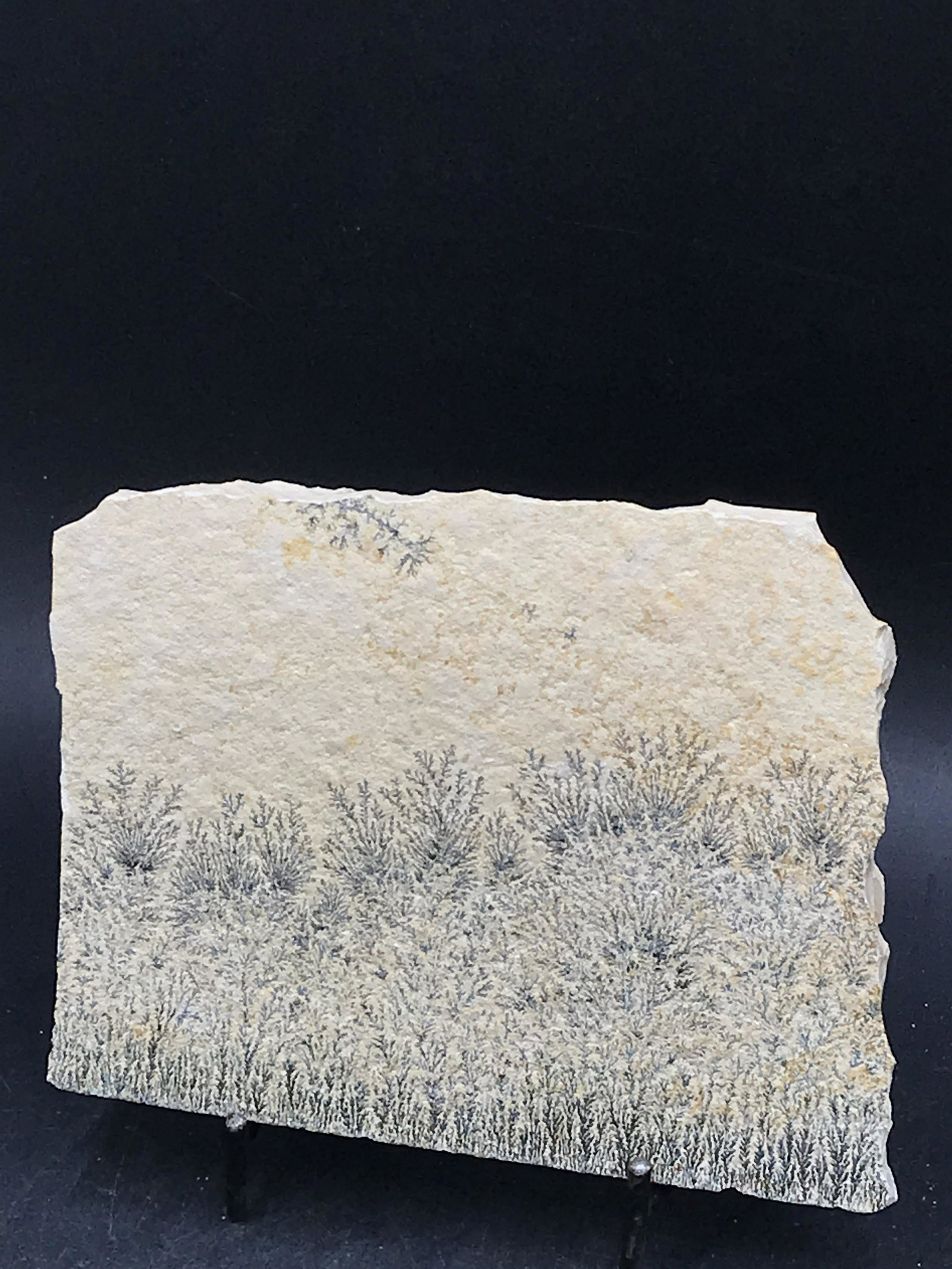 Dendrites on Limestone: Dendrites on Limestone Germany