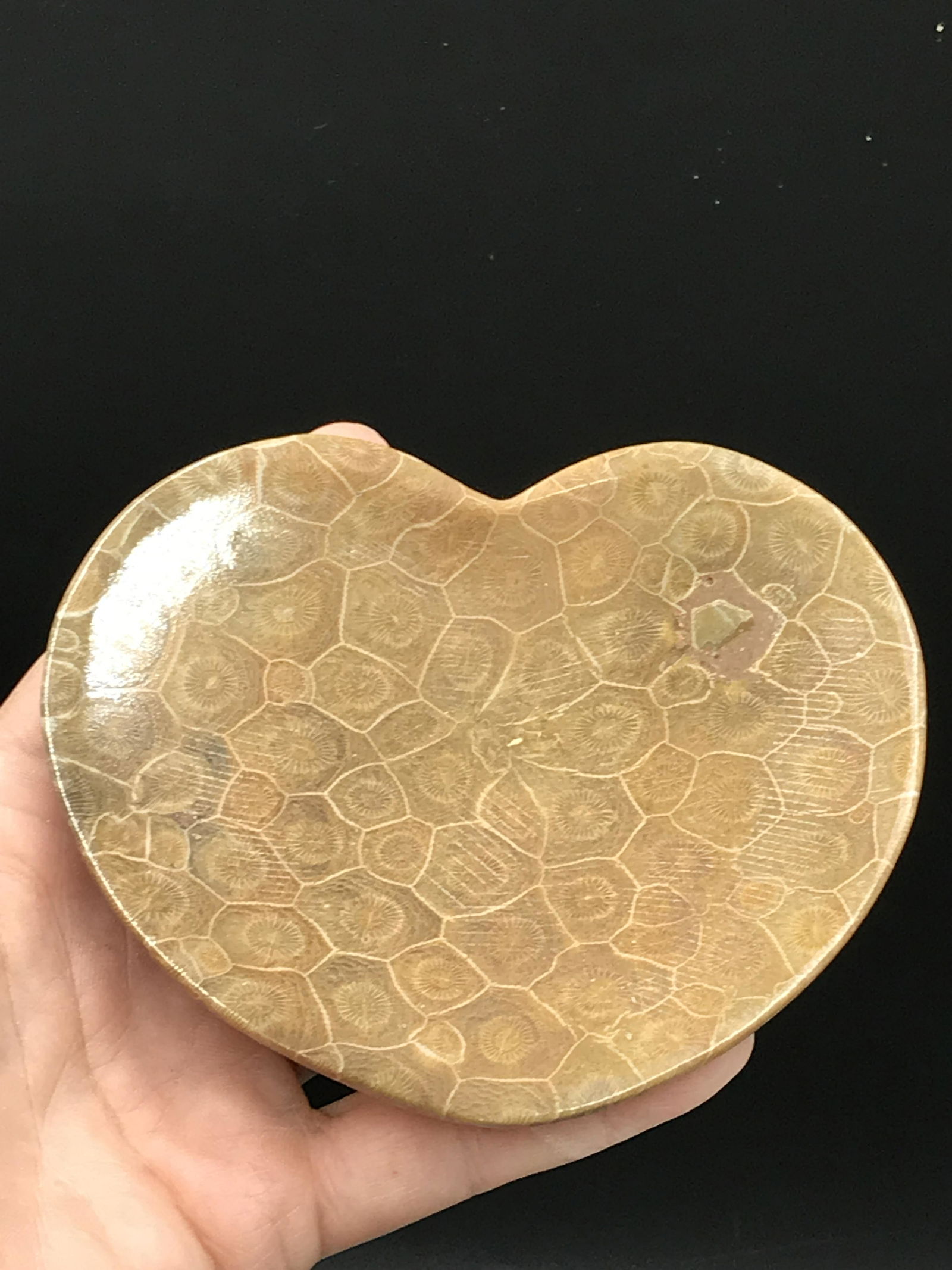 Fossil Coral Heart Dish (1 of 4)